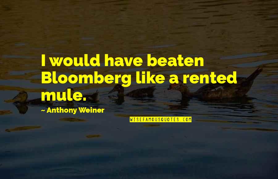 Bloomberg's Quotes By Anthony Weiner: I would have beaten Bloomberg like a rented