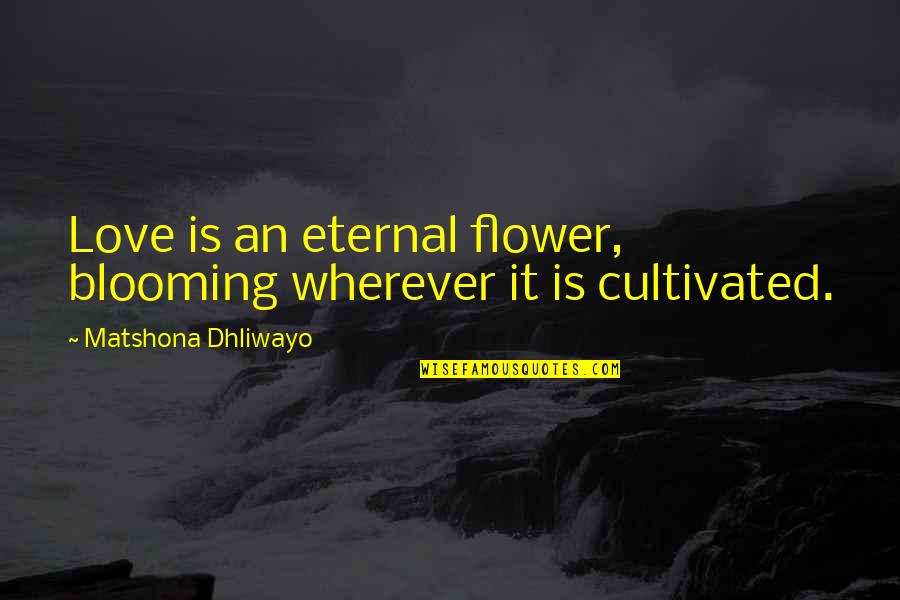 Blooming Love Quotes By Matshona Dhliwayo: Love is an eternal flower, blooming wherever it