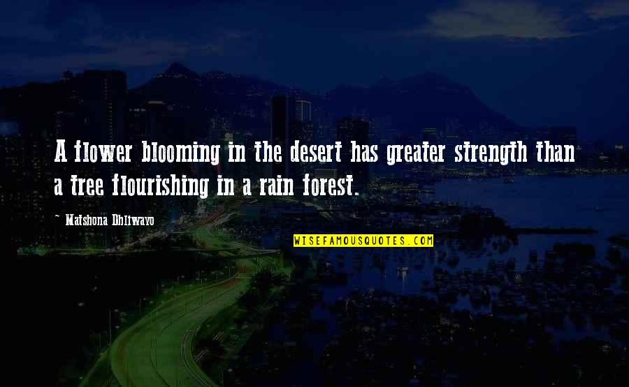 Blooming Quotes By Matshona Dhliwayo: A flower blooming in the desert has greater