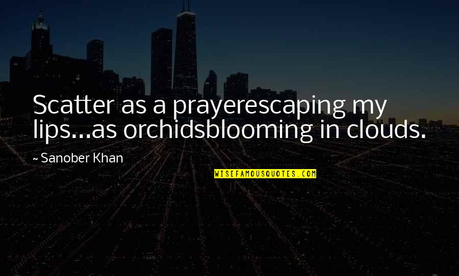 Blooming Quotes By Sanober Khan: Scatter as a prayerescaping my lips...as orchidsblooming in