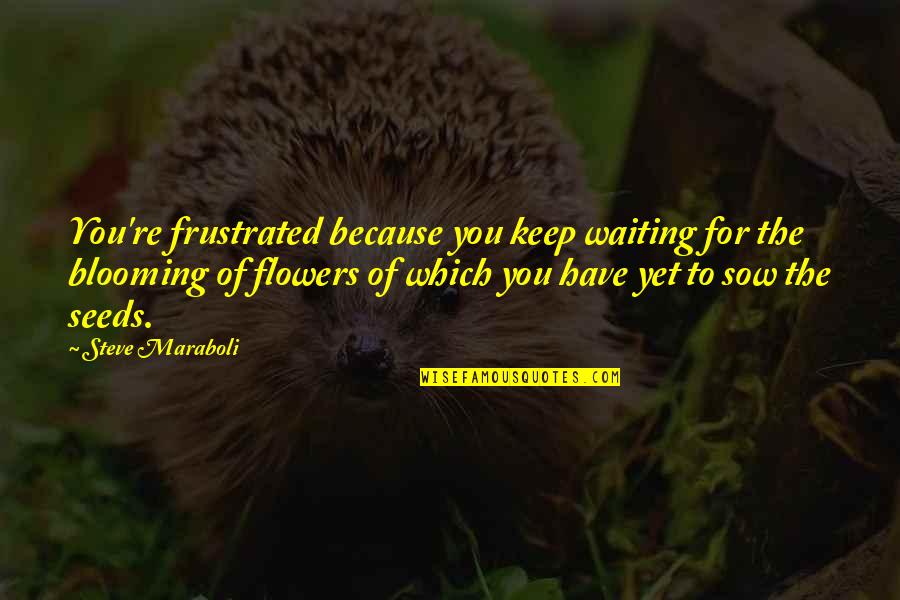 Blooming Quotes By Steve Maraboli: You're frustrated because you keep waiting for the