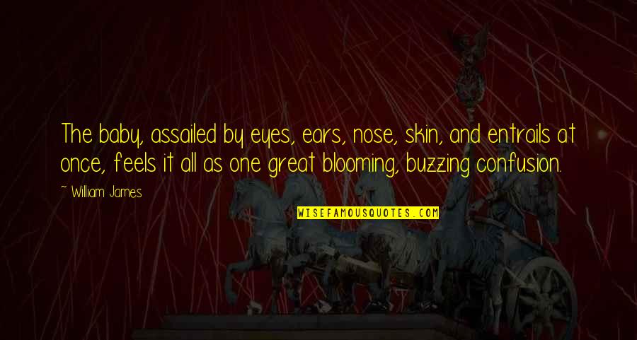 Blooming Quotes By William James: The baby, assailed by eyes, ears, nose, skin,