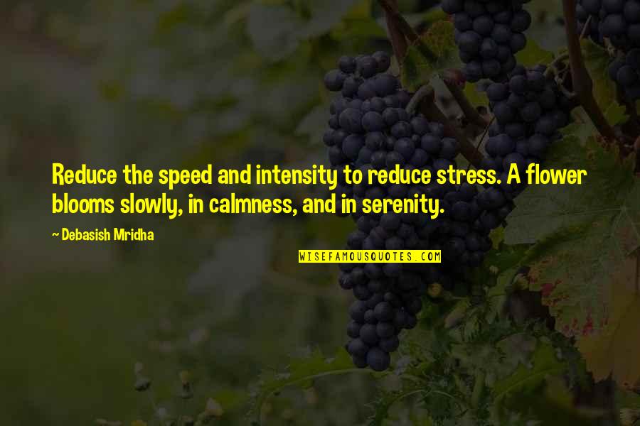 Blooms Inspirational Quotes By Debasish Mridha: Reduce the speed and intensity to reduce stress.