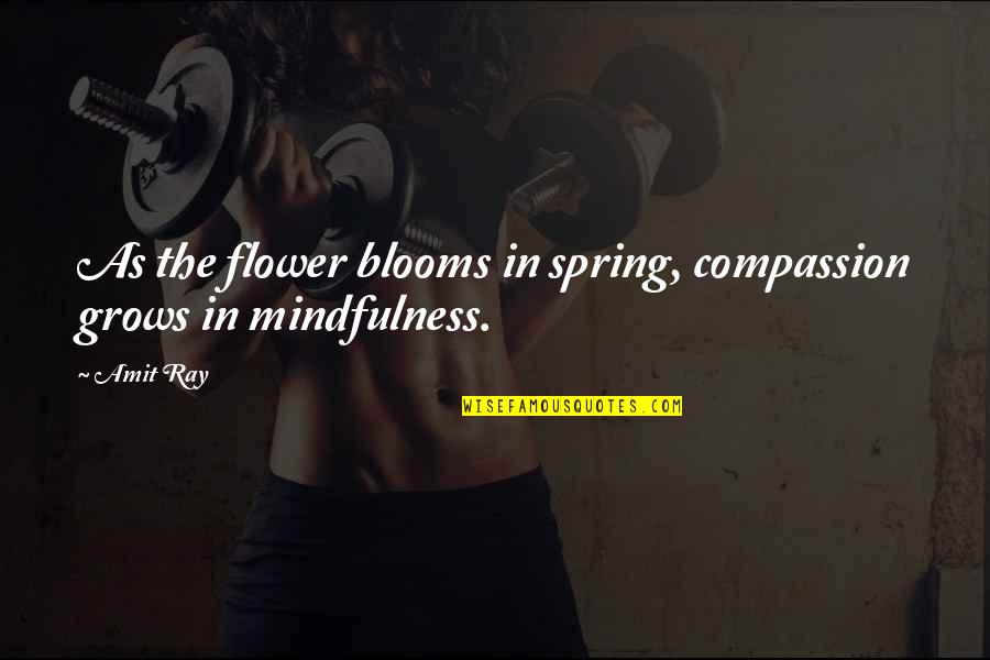 Blooms Quotes By Amit Ray: As the flower blooms in spring, compassion grows