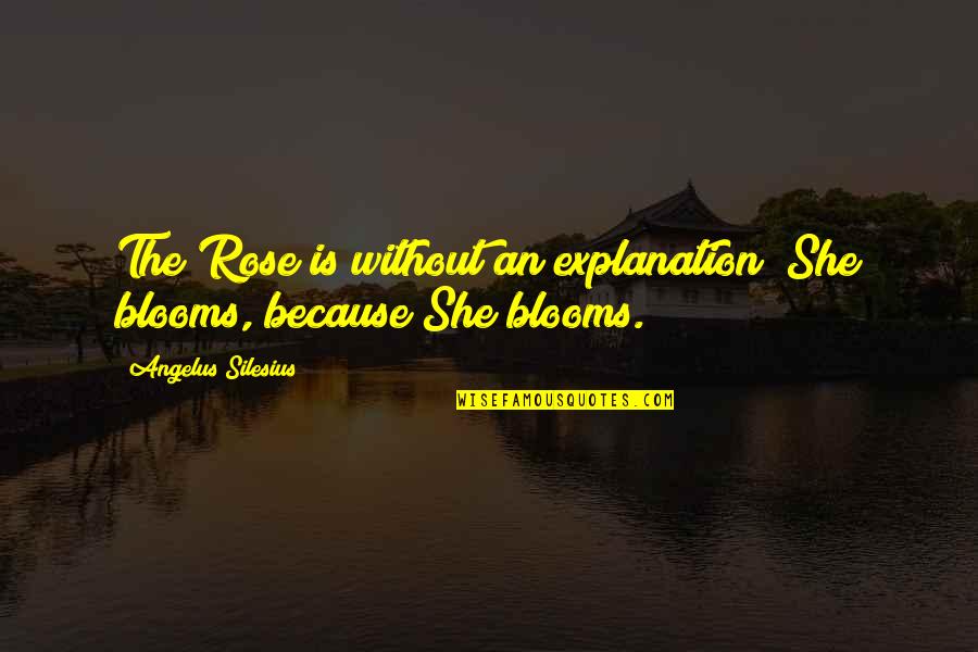 Blooms Quotes By Angelus Silesius: The Rose is without an explanation; She blooms,