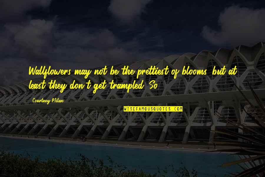 Blooms Quotes By Courtney Milan: Wallflowers may not be the prettiest of blooms,