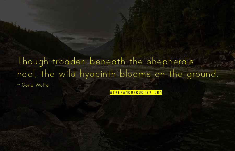 Blooms Quotes By Gene Wolfe: Though trodden beneath the shepherd's heel, the wild
