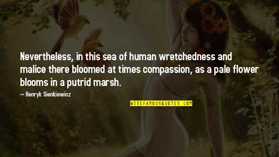 Blooms Quotes By Henryk Sienkiewicz: Nevertheless, in this sea of human wretchedness and