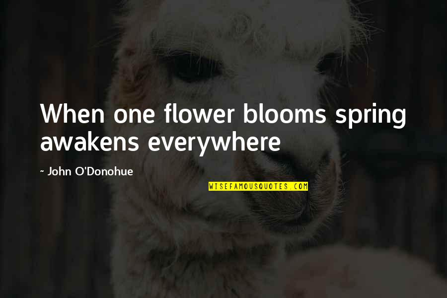 Blooms Quotes By John O'Donohue: When one flower blooms spring awakens everywhere