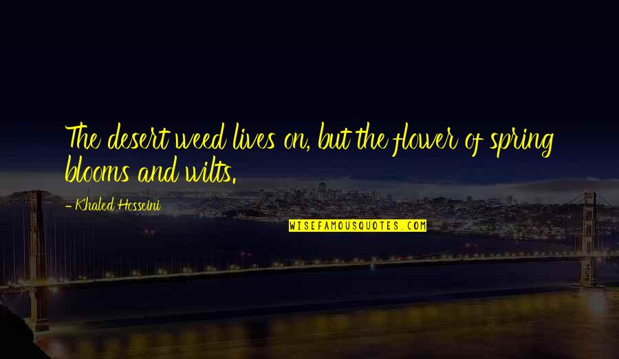 Blooms Quotes By Khaled Hosseini: The desert weed lives on, but the flower