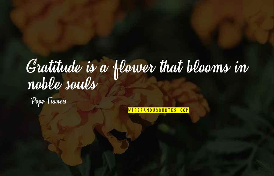 Blooms Quotes By Pope Francis: Gratitude is a flower that blooms in noble