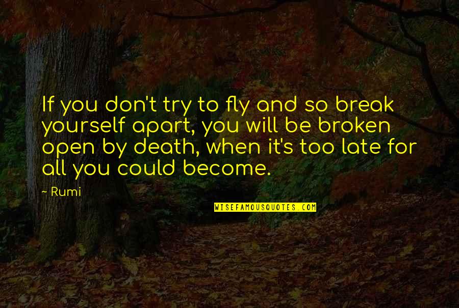 Bloomsday Joyce Quotes By Rumi: If you don't try to fly and so