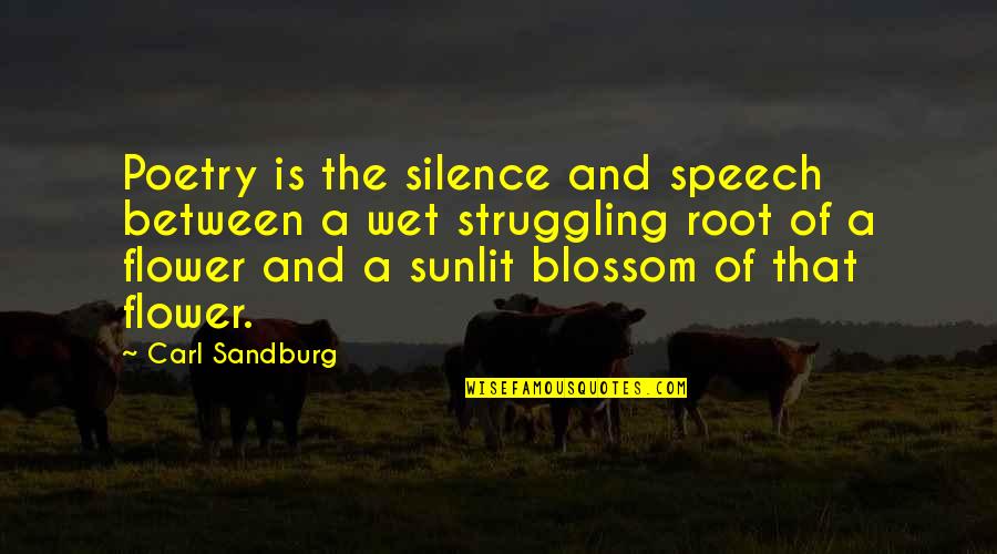 Blossom'd Quotes By Carl Sandburg: Poetry is the silence and speech between a