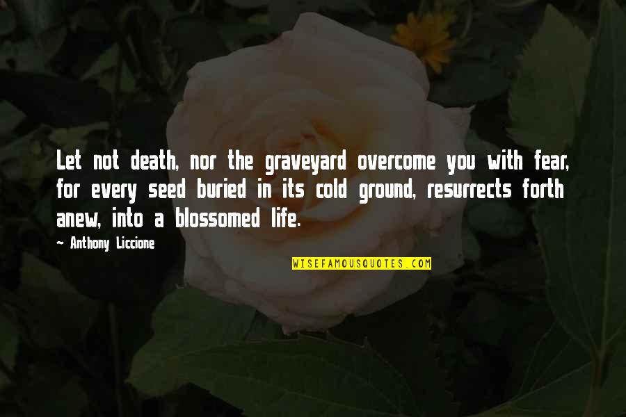 Blossomed Quotes By Anthony Liccione: Let not death, nor the graveyard overcome you