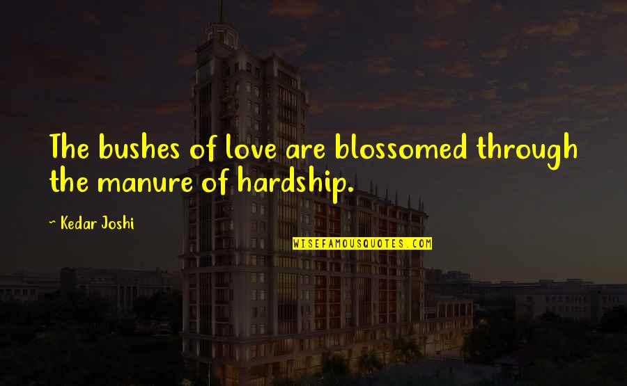 Blossomed Quotes By Kedar Joshi: The bushes of love are blossomed through the