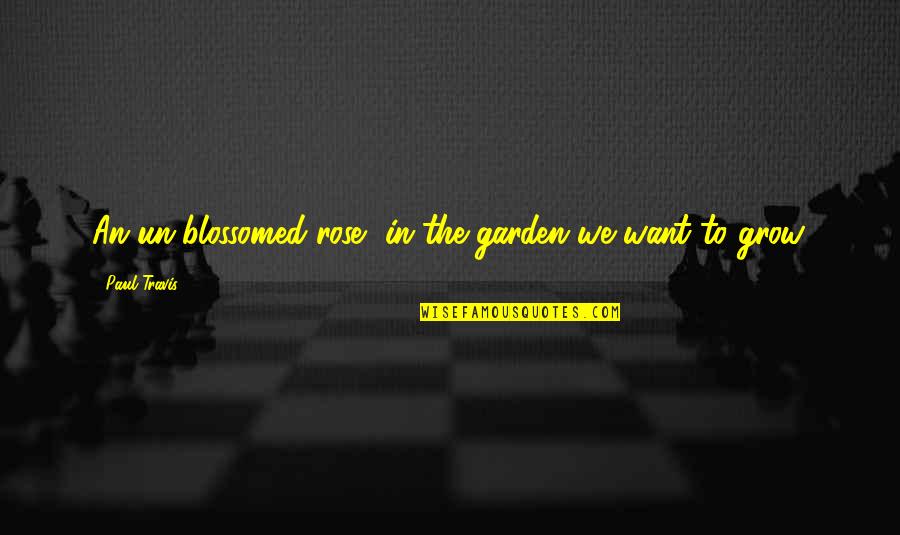 Blossomed Quotes By Paul Travis: An un-blossomed rose, in the garden we want