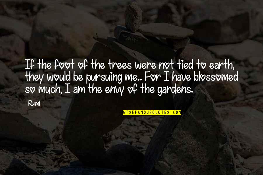 Blossomed Quotes By Rumi: If the foot of the trees were not