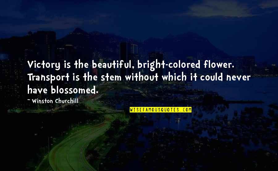 Blossomed Quotes By Winston Churchill: Victory is the beautiful, bright-colored flower. Transport is