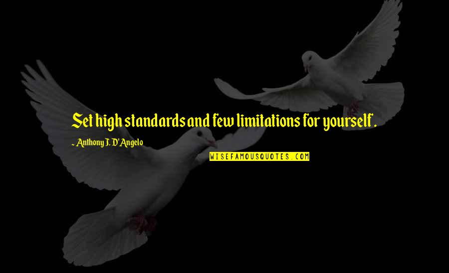 Blotchy Red Quotes By Anthony J. D'Angelo: Set high standards and few limitations for yourself.
