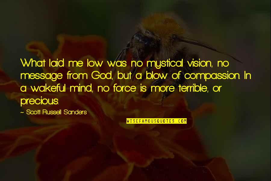 Blow My Mind Quotes By Scott Russell Sanders: What laid me low was no mystical vision, Blow My Mind Quotes By Scott Russell Sanders: What laid me low was no mystical vision,