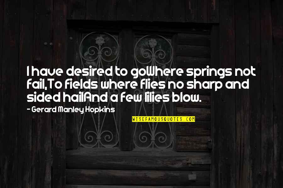 Blow Quotes By Gerard Manley Hopkins: I have desired to goWhere springs not fail,To