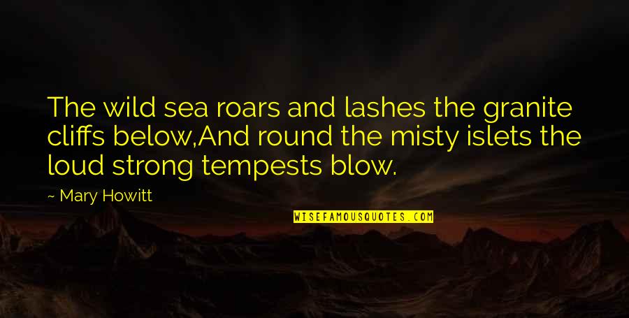 Blow Quotes By Mary Howitt: The wild sea roars and lashes the granite