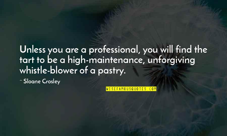 Blower's Quotes By Sloane Crosley: Unless you are a professional, you will find