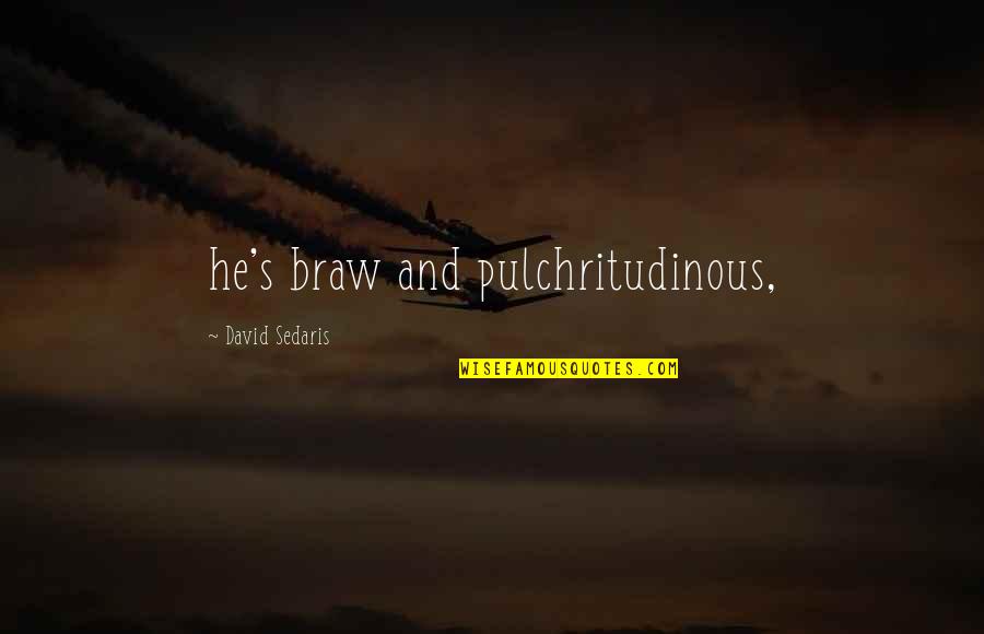 Blowhards Words Quotes By David Sedaris: he's braw and pulchritudinous, Blowhards Words Quotes By David Sedaris: he's braw and pulchritudinous,