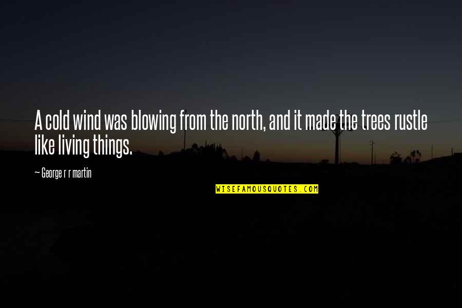 Blowing It Quotes By George R R Martin: A cold wind was blowing from the north,