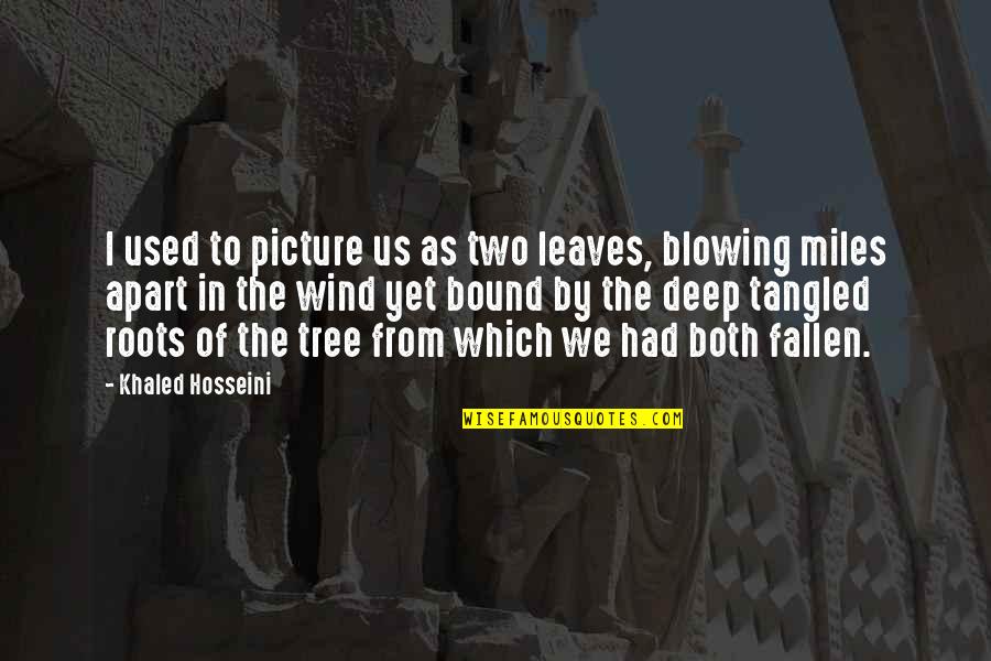 Blowing O's Quotes By Khaled Hosseini: I used to picture us as two leaves,