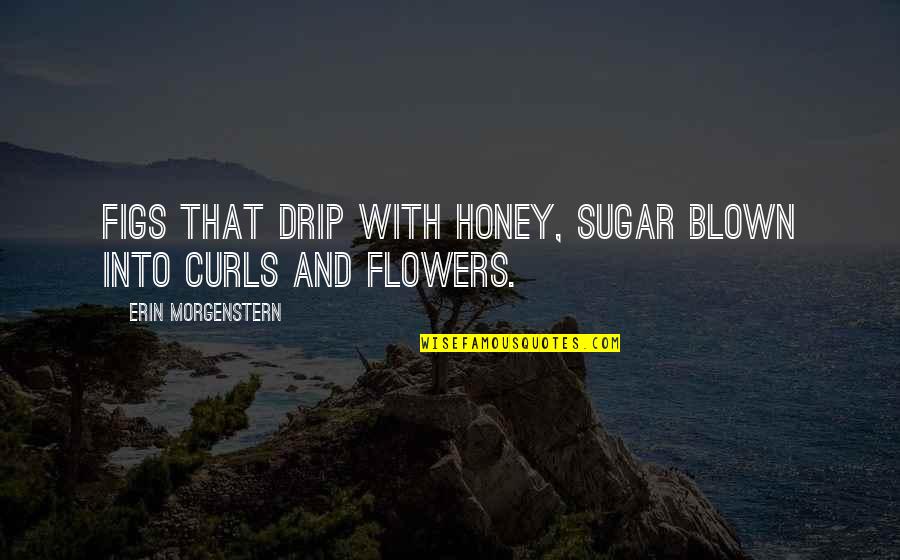 Blown Quotes By Erin Morgenstern: Figs that drip with honey, sugar blown into