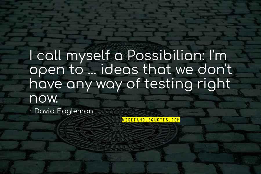 Blowsy Quotes By David Eagleman: I call myself a Possibilian: I'm open to