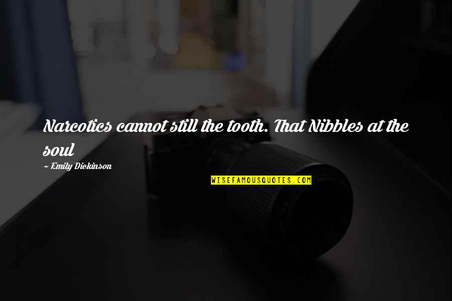 Blowtorched Quotes By Emily Dickinson: Narcotics cannot still the tooth. That Nibbles at Blowtorched Quotes By Emily Dickinson: Narcotics cannot still the tooth. That Nibbles at