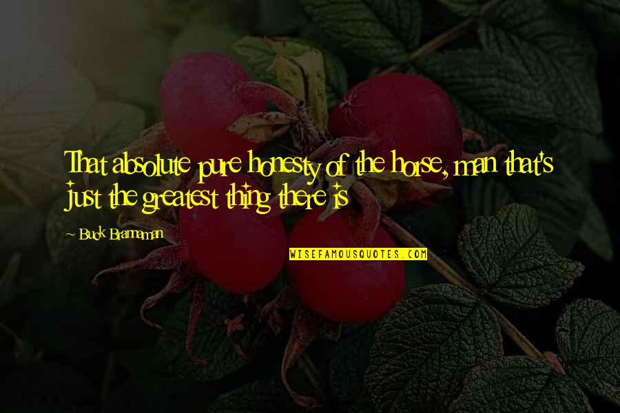 Blue And Green Color Quotes By Buck Brannaman: That absolute pure honesty of the horse, man Blue And Green Color Quotes By Buck Brannaman: That absolute pure honesty of the horse, man