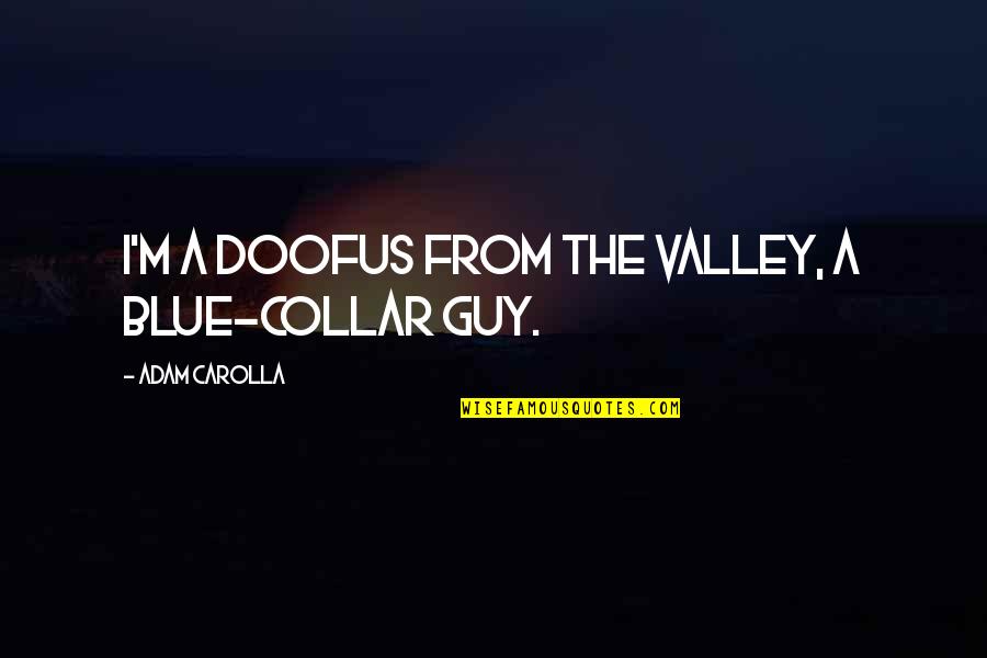 Blue Collar Quotes By Adam Carolla: I'm a doofus from the Valley, a blue-collar