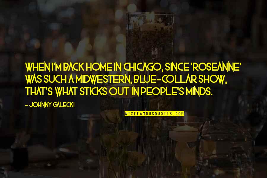 Blue Collar Quotes By Johnny Galecki: When I'm back home in Chicago, since 'Roseanne'