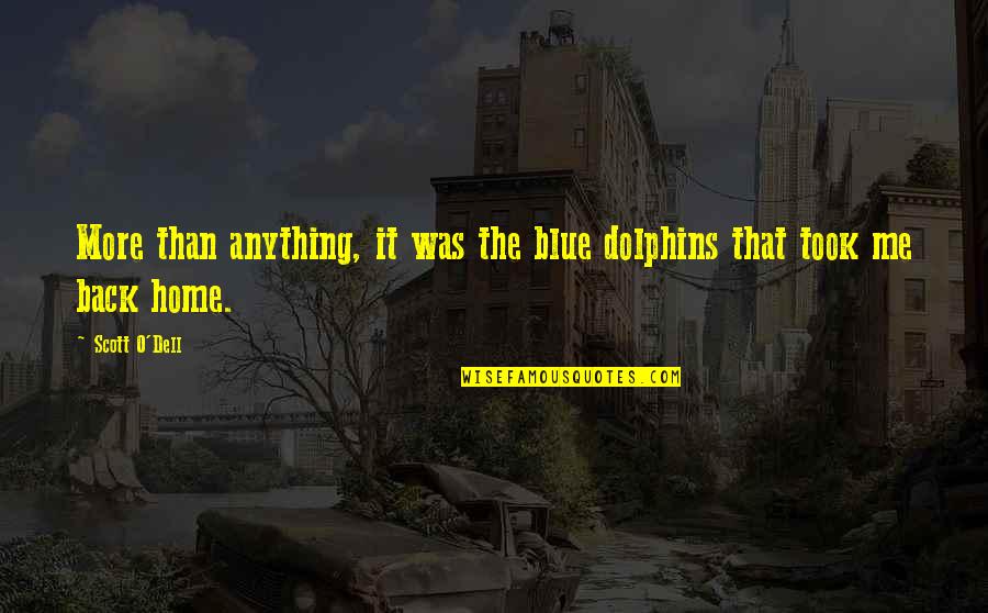 Blue Dolphins Quotes By Scott O'Dell: More than anything, it was the blue dolphins