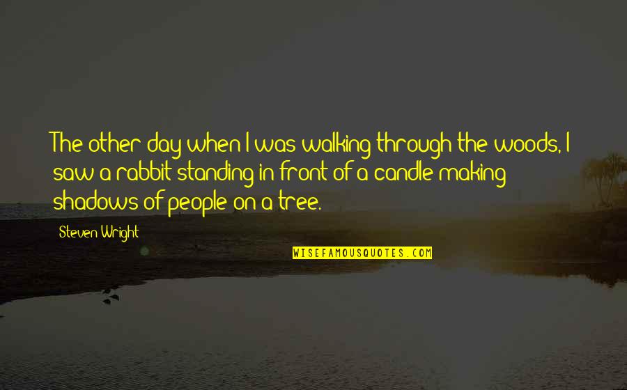 Blue Exorcist Mephisto Quotes By Steven Wright: The other day when I was walking through Blue Exorcist Mephisto Quotes By Steven Wright: The other day when I was walking through