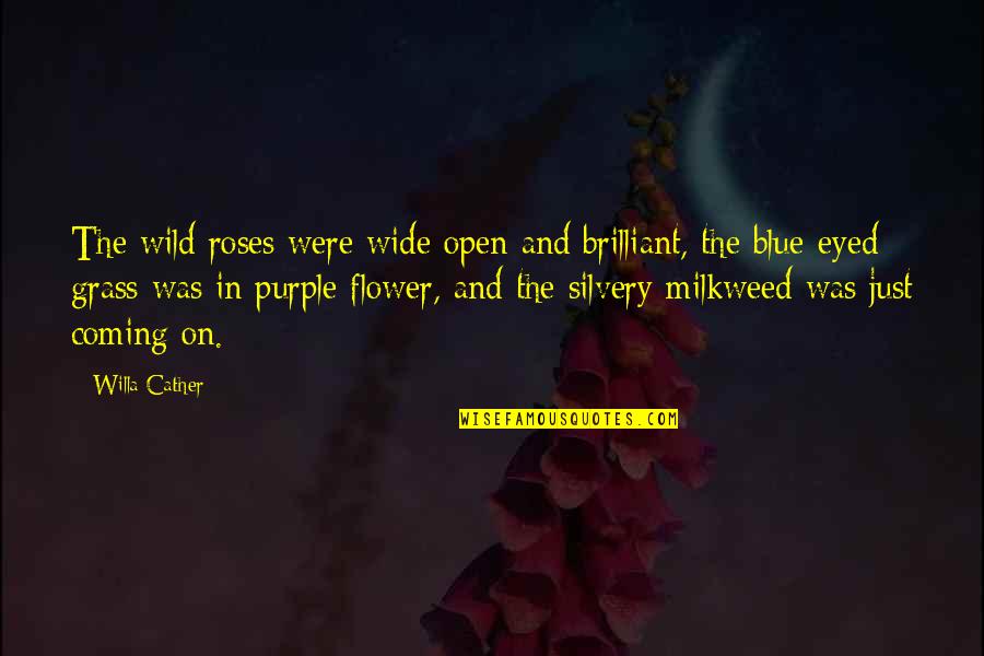Blue Eyed Quotes By Willa Cather: The wild roses were wide open and brilliant,