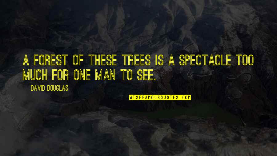 Blue Eyes And Love Quotes By David Douglas: A forest of these trees is a spectacle