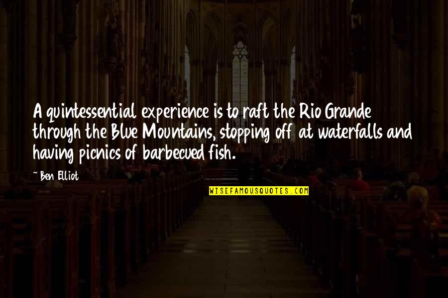Blue Fish Quotes By Ben Elliot: A quintessential experience is to raft the Rio