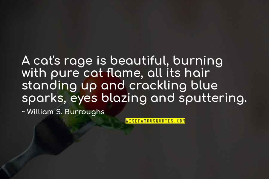 Blue Hair Quotes By William S. Burroughs: A cat's rage is beautiful, burning with pure