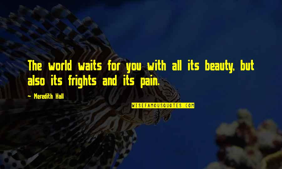 Blue Moon Funny Quotes By Meredith Hall: The world waits for you with all its