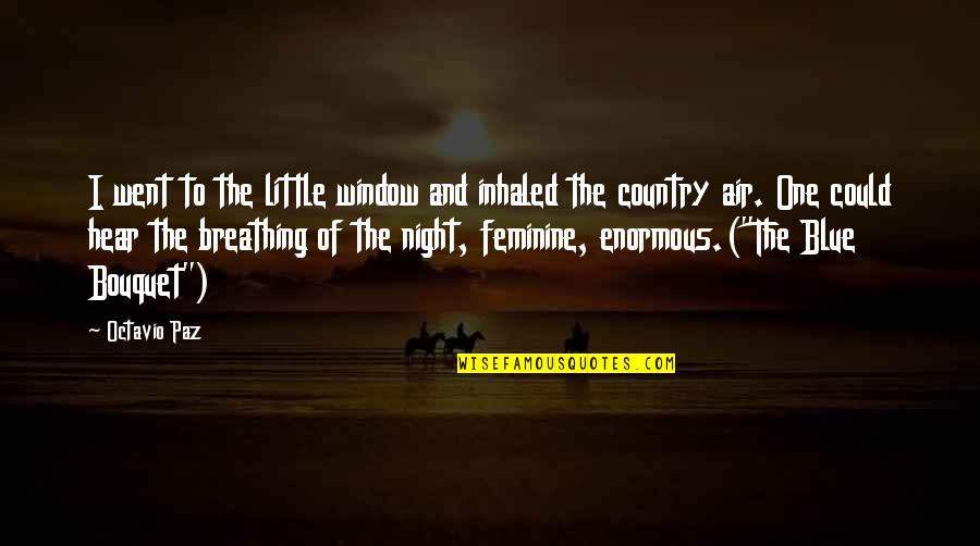Blue Night Quotes By Octavio Paz: I went to the little window and inhaled