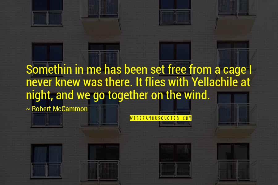 Blue Night Quotes By Robert McCammon: Somethin in me has been set free from