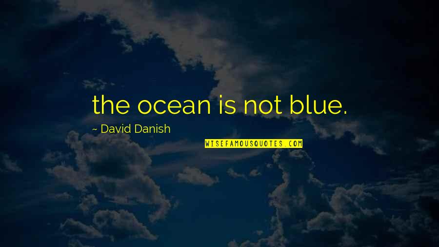 Blue Ocean Quotes By David Danish: the ocean is not blue.