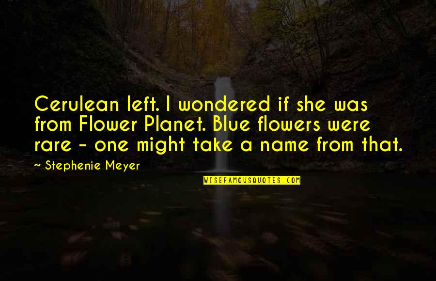 Blue Planet Quotes By Stephenie Meyer: Cerulean left. I wondered if she was from