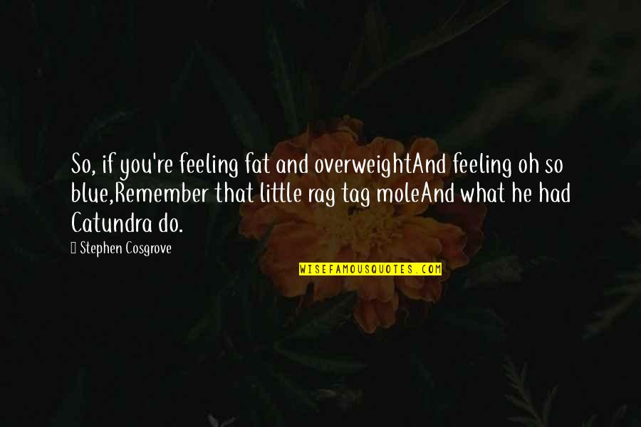 Blue Rag Quotes By Stephen Cosgrove: So, if you're feeling fat and overweightAnd feeling