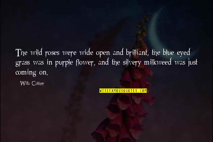 Blue Roses Quotes By Willa Cather: The wild roses were wide open and brilliant,