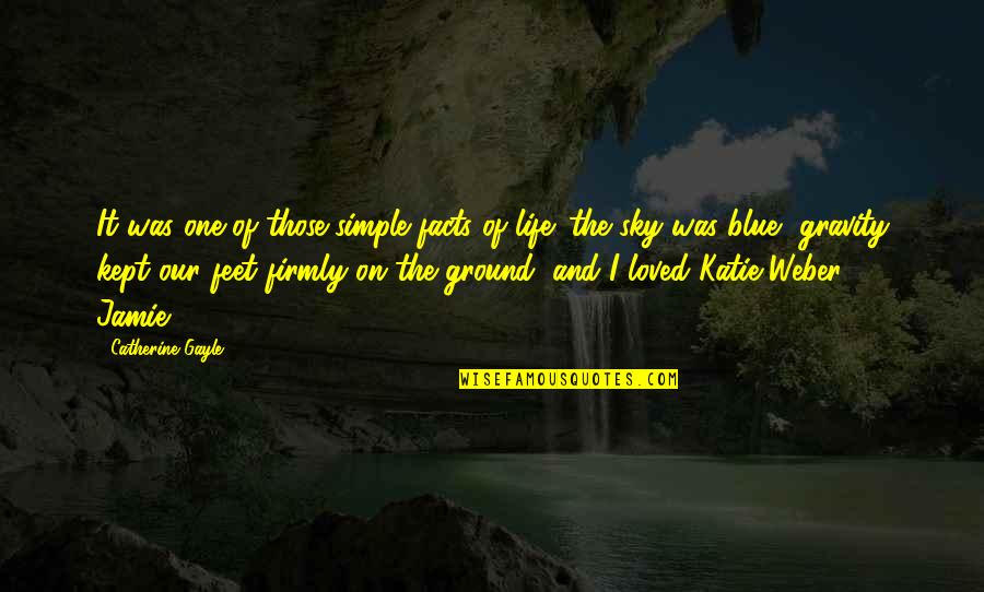 Blue Sky And Life Quotes By Catherine Gayle: It was one of those simple facts of